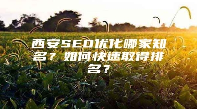 西安SEO优化哪家知名？如何快速取得排名？