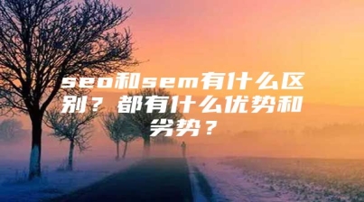 seo和sem有什么区别？都有什么优势和劣势？
