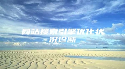 网站搜索引擎优化状况诊断