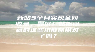 新站5个月实现全网收录、霸屏！站舰隐藏的这些功能你用对了吗？