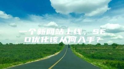 一个新网站上线，SEO优化该从何入手？
