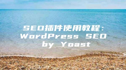 SEO插件使用教程：WordPress SEO by Yoast