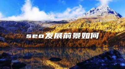 seo发展前景如何