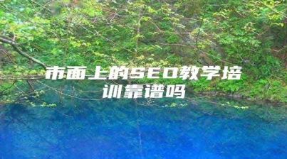 市面上的SEO教学培训靠谱吗