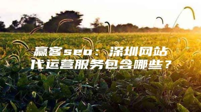 赢客seo：深圳网站代运营服务包含哪些？