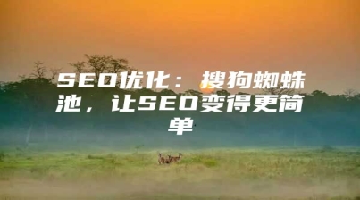 SEO优化：搜狗蜘蛛池，让SEO变得更简单