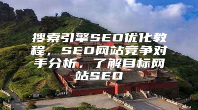 搜索引擎SEO优化教程，SEO网站竞争对手分析，了解目标网站SEO