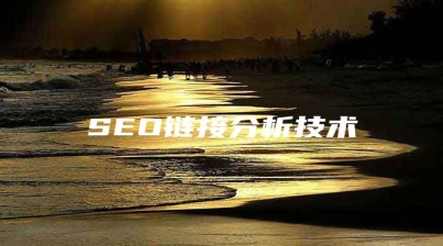 SEO链接分析技术
