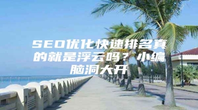 SEO优化快速排名真的就是浮云吗？小编脑洞大开