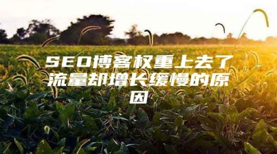 SEO博客权重上去了流量却增长缓慢的原因