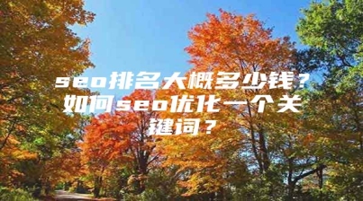 seo排名大概多少钱？如何seo优化一个关键词？