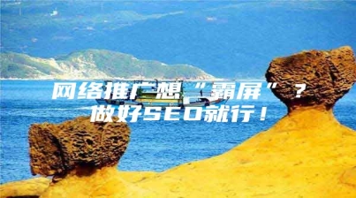 网络推广想“霸屏”？做好SEO就行！