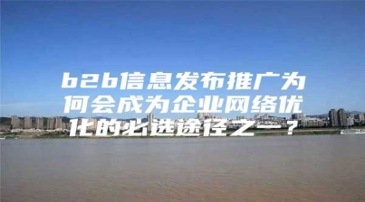 b2b信息发布推广为何会成为企业网络优化的必选途径之一？