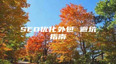 SEO优化外包 避坑指南