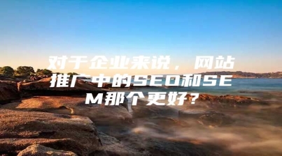 对于企业来说，网站推广中的SEO和SEM那个更好？