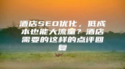 酒店SEO优化，低成本也能大流量？酒店需要的这样的点评回复