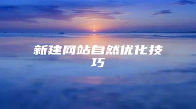 新建网站自然优化技巧