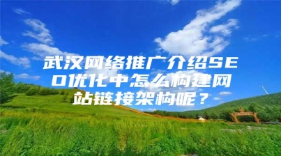 武汉网络推广介绍SEO优化中怎么构建网站链接架构呢？
