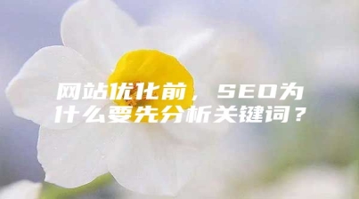 网站优化前，SEO为什么要先分析关键词？
