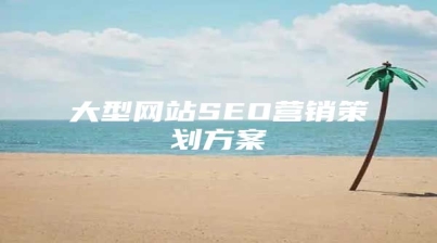 大型网站SEO营销策划方案