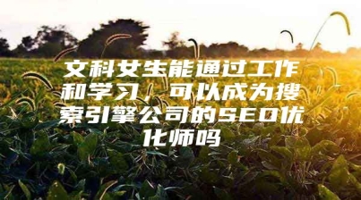文科女生能通过工作和学习，可以成为搜索引擎公司的SEO优化师吗