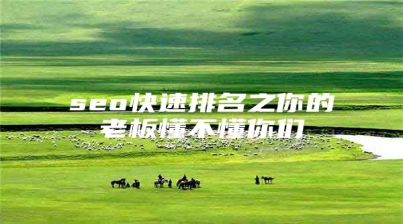 seo快速排名之你的老板懂不懂你们