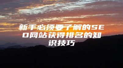 新手必须要了解的SEO网站获得排名的知识技巧