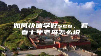 如何快速学好seo，看看十年老鸟怎么说