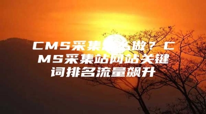 CMS采集怎么做？CMS采集站网站关键词排名流量飙升
