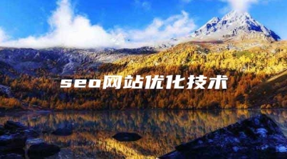 seo网站优化技术