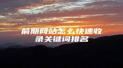 前期网站怎么快速收录关键词排名