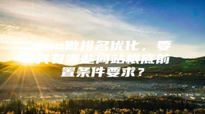 seo做排名优化，要具有哪些网站根底前置条件要求？