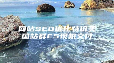 网站SEO优化特价美国站群E5现机交付