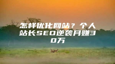 怎样优化网站？个人站长SEO逆袭月赚30万