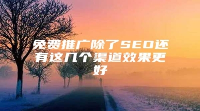 免费推广除了SEO还有这几个渠道效果更好