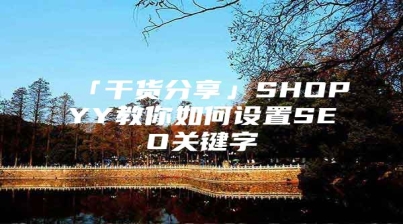 「干货分享」SHOPYY教你如何设置SEO关键字
