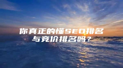 你真正的懂SEO排名与竞价排名吗？