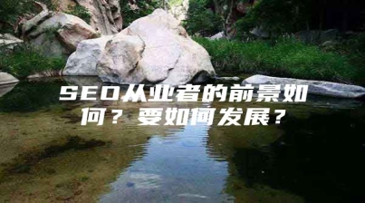 SEO从业者的前景如何？要如何发展？