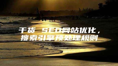 干货 SEO网站优化，搜索引擎预处理规则