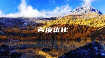 百度优化