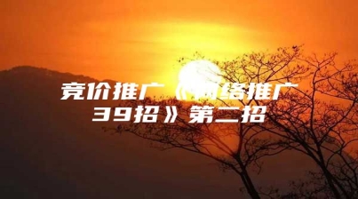竞价推广《网络推广39招》第二招
