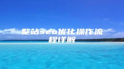 整站seo优化操作流程详解