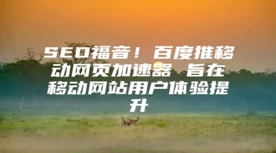 SEO福音！百度推移动网页加速器 旨在移动网站用户体验提升