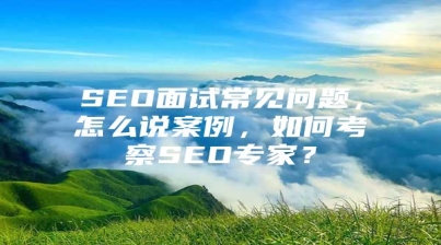 SEO面试常见问题，怎么说案例，如何考察SEO专家？