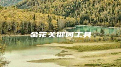 金花关键词工具