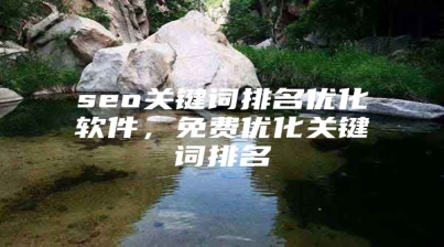 seo关键词排名优化软件，免费优化关键词排名
