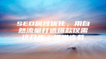 SEO属性优化，用自然流量打造爆款仅需这几步｜猫猫连载