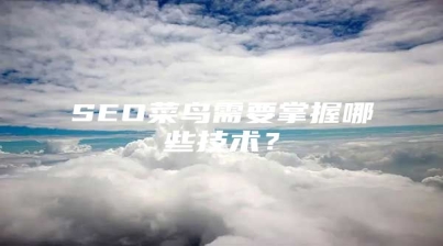 SEO菜鸟需要掌握哪些技术？