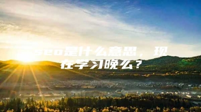 seo是什么意思，现在学习晚么？