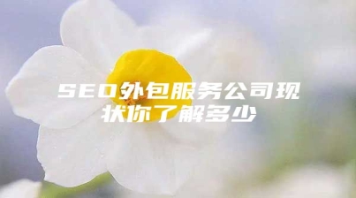 SEO外包服务公司现状你了解多少